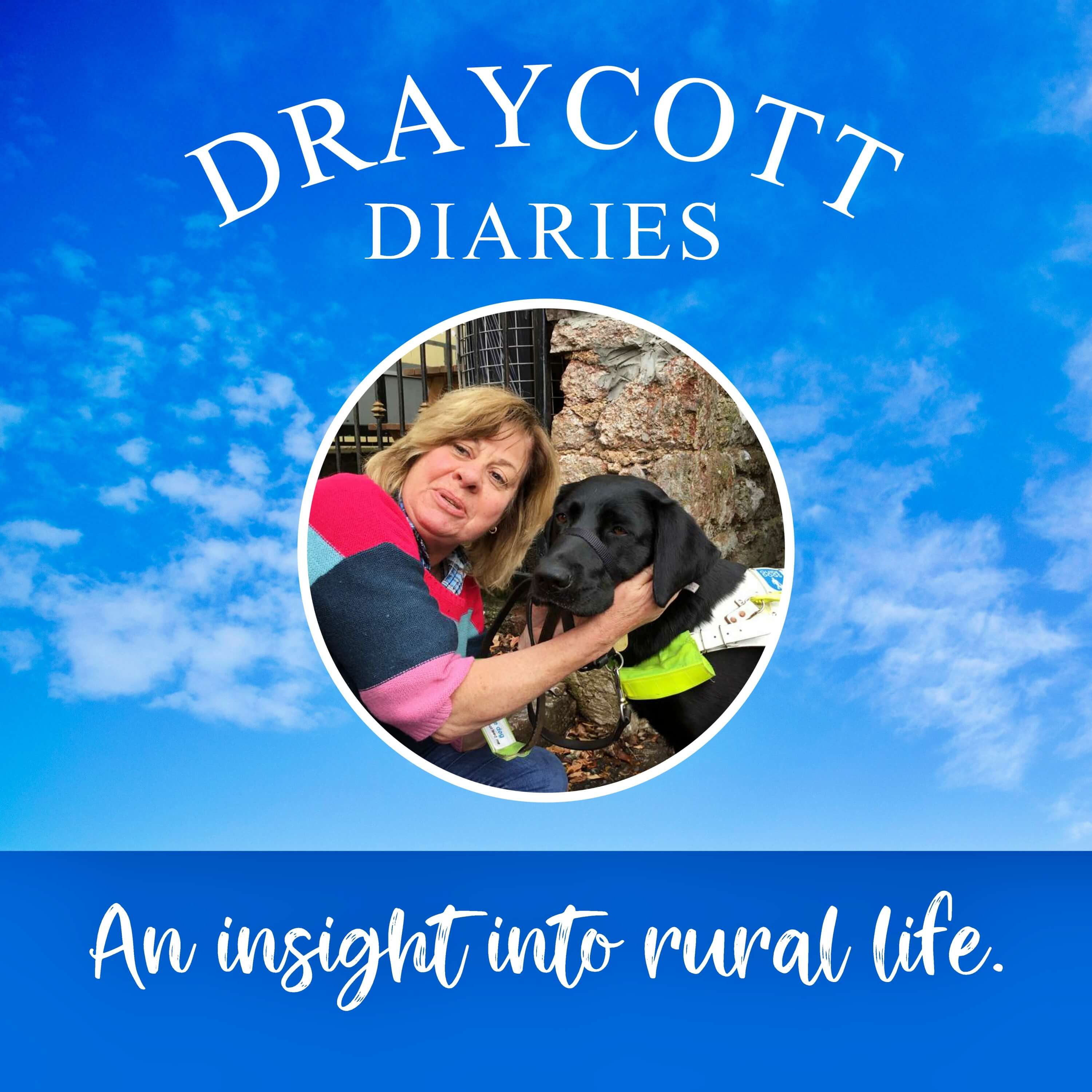 Draycott Diaries