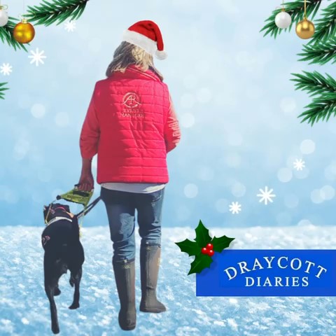 Tiggi Walks around Draycott in Somerset. What does Christmas mean to people?